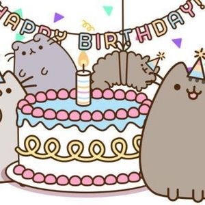 Meet your Posher, Ana